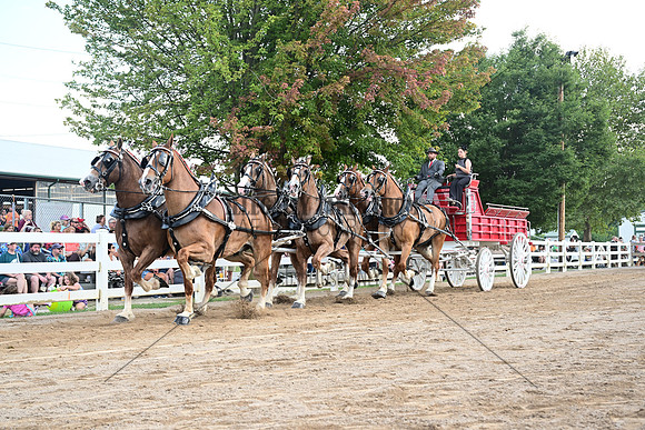 AJB_0588