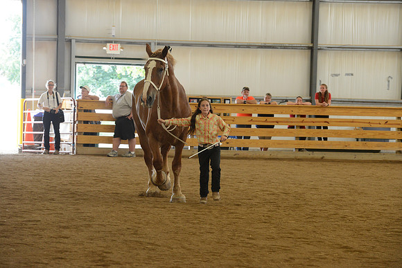 Jr. Youth Showmanship-25