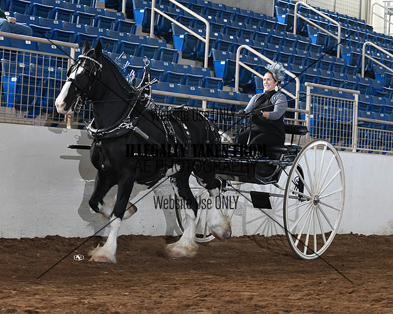 shires_5801