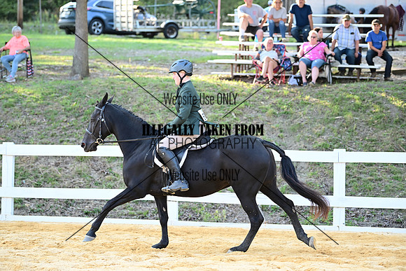 AJB_1591
