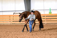 20. Amatuer Aged Geldings