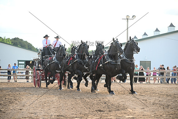 AJB_0545
