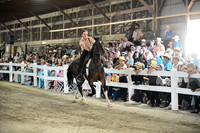 AJB_0262