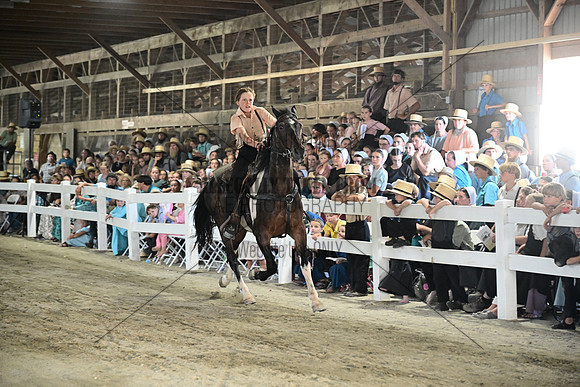 AJB_0262