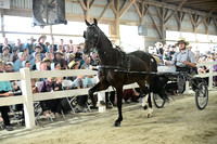 AJB_0689