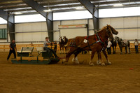 Farm Team-16