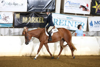 72. All Breed Walk Trot HUS