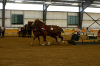 Farm Team-5
