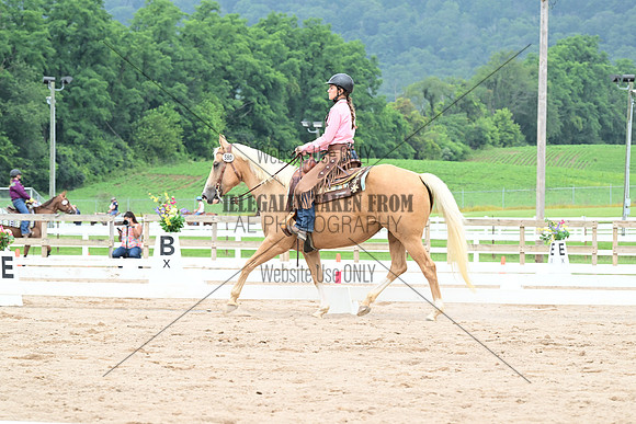 AJB_2597