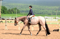 AJB_6550