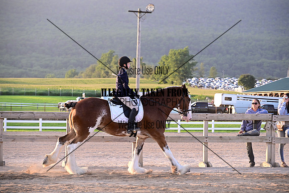 AJB_5467