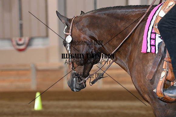 _BRY2289