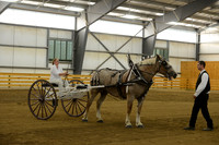 Pleasure Cart-11