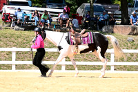 AJB_2436
