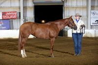 161. Open Ranch Conformation