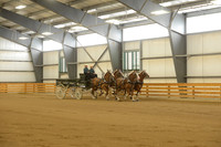 Four Horse Hitch-10