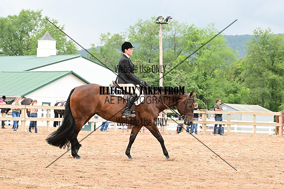 AJB_6808