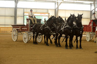 Four Horse Hitch-18