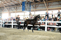 AJB_0281