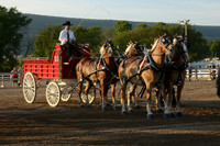 Four Horse Hitch_Amateur_youth-10