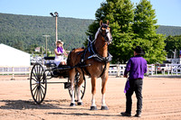 AJB_4573