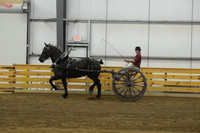 Men’s Cart_percherons-6