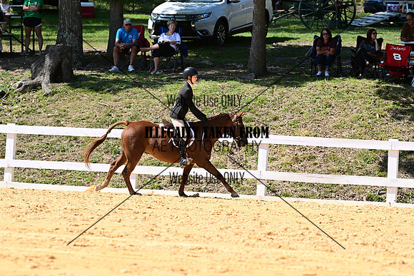 AJB_0801