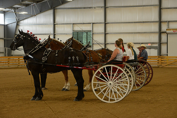 Sr. Youth Cart-24