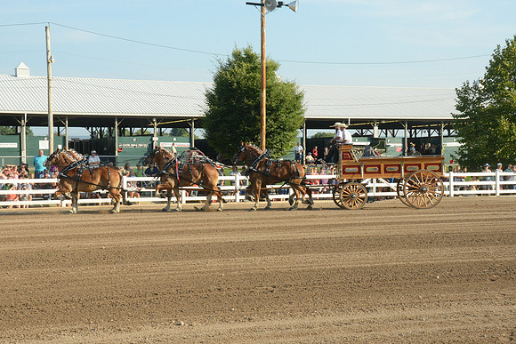 Six Horse Hitch-2