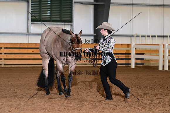 ASH_4285