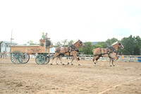 AJB_0719