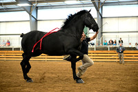 AJB_6145