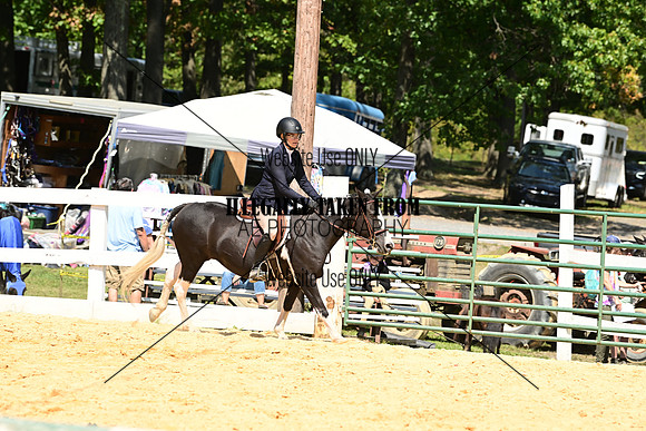 AJB_0786