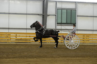 Men's Cart-Percheron