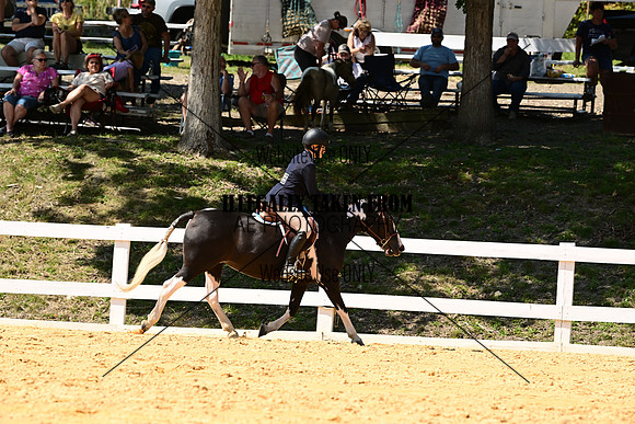 AJB_0787