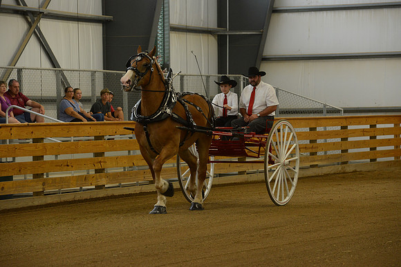 Jr. Youth Cart-10