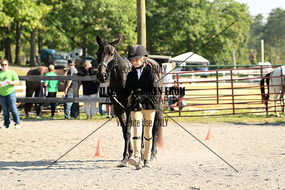 AJB_0298