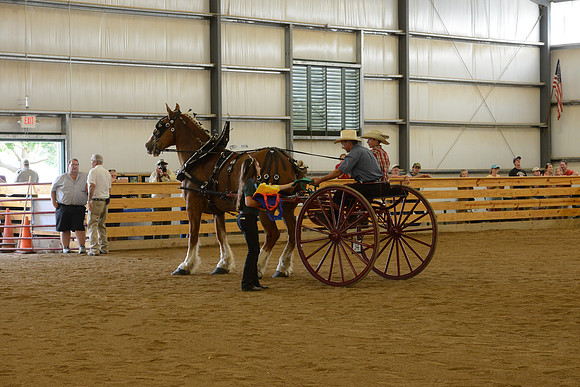 Sr. Youth Cart-28