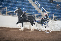 Clyde Shire - Men's Cart