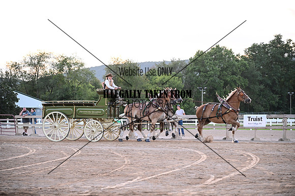 AJB_5599