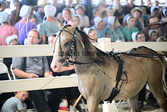 AJB_0364