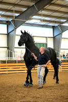AJB_6172