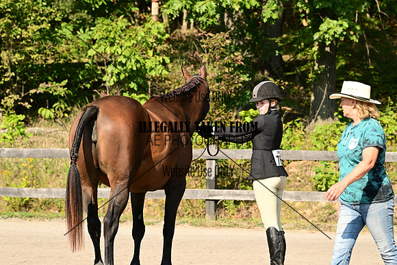 AJB_0379