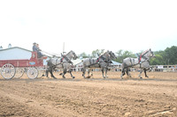AJB_0441