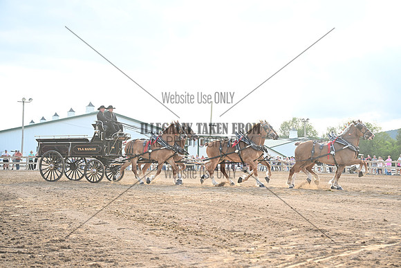 AJB_0548