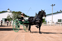 AJB_4551