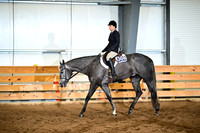 Junior Hunter Under Saddle