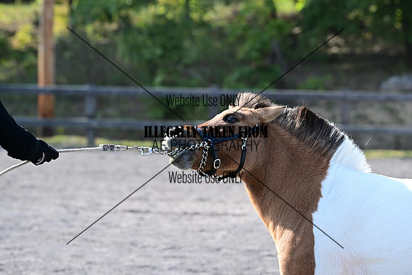 AJB_1230