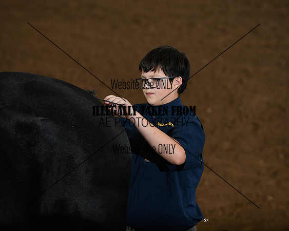 shires_5312