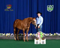 banderson_1458-8x10